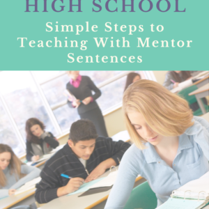 mentor-sentences